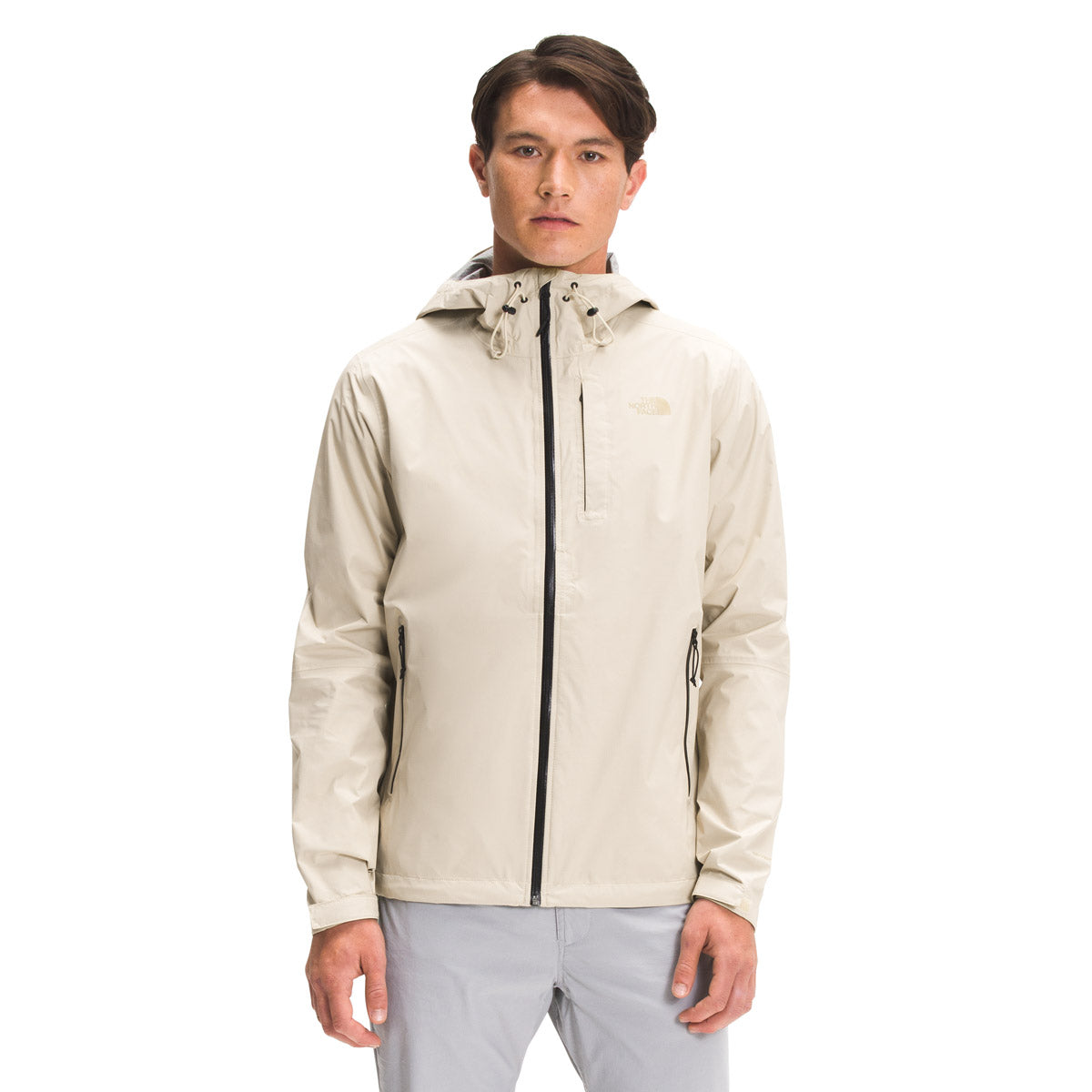 THE NORTH FACE Men's Alta Vista Jacket