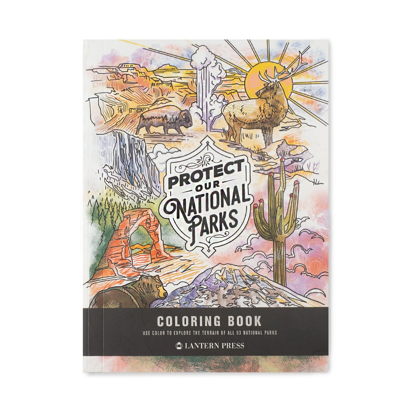 Lantern Press Coloring Book